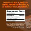 Pilze Chaga -Pilze Kapseln unterstützen Gesundheit